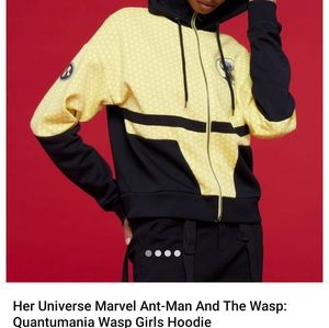 Ant-Man and the Wasp Hoodie